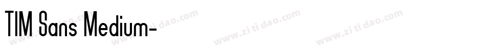 TIM Sans Medium字体转换